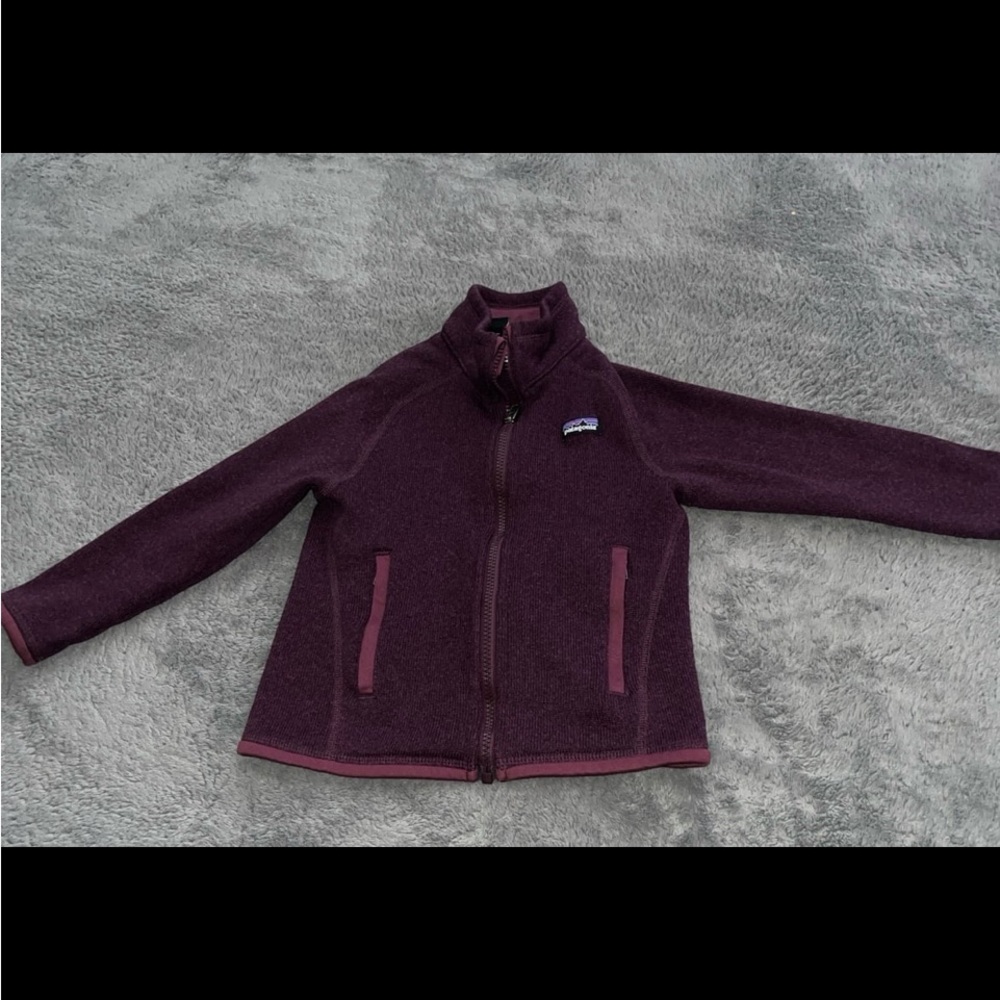 Patagonia Better sweater 5t